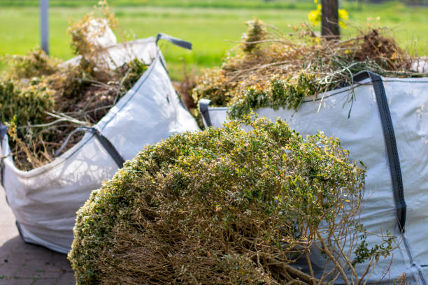 Best Commercial Cleanout Services  in Donora, PA